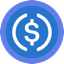 USDC logo