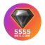 5555 logo
