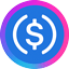 USDC logo